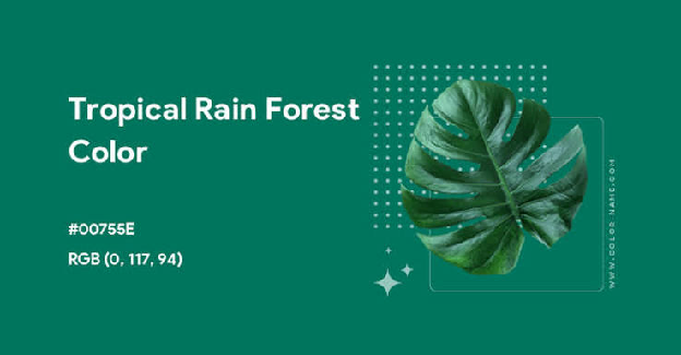 Tropical Rain Forest color swatch
