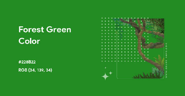 Forest Green swatch
